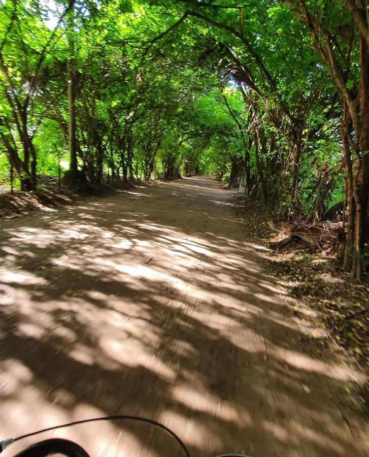 Housi, Condo Beira Mar Em Milagres Passo de Camarajibe ภายนอก รูปภาพ